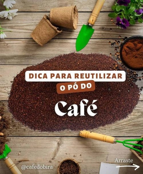 Como usar a borra de café no cultivo de plantas: um guia prático e sustentável.