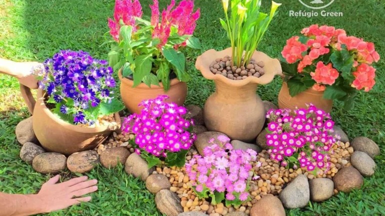 Canteiro de flores: dicas e ideias para um jardim mais colorido e aconchegante.
