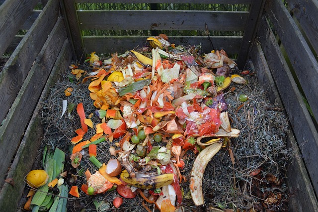 compostagem folhas secas