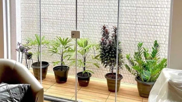 Plantas para Jardim de Inverno: Crie um Refúgio Verde Dentro de Casa